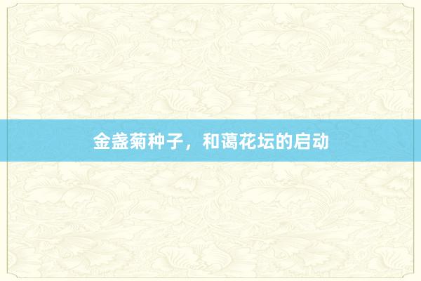 金盏菊种子，和蔼花坛的启动